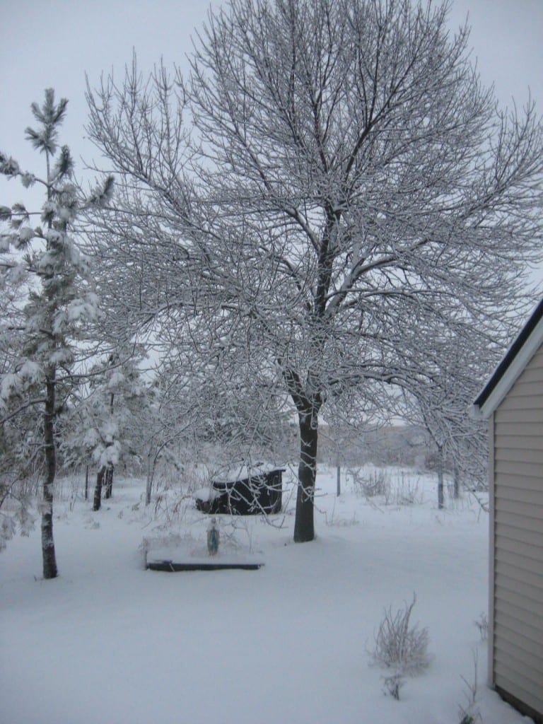 Wordless Wednesday: 5-6 inches - Jealous?