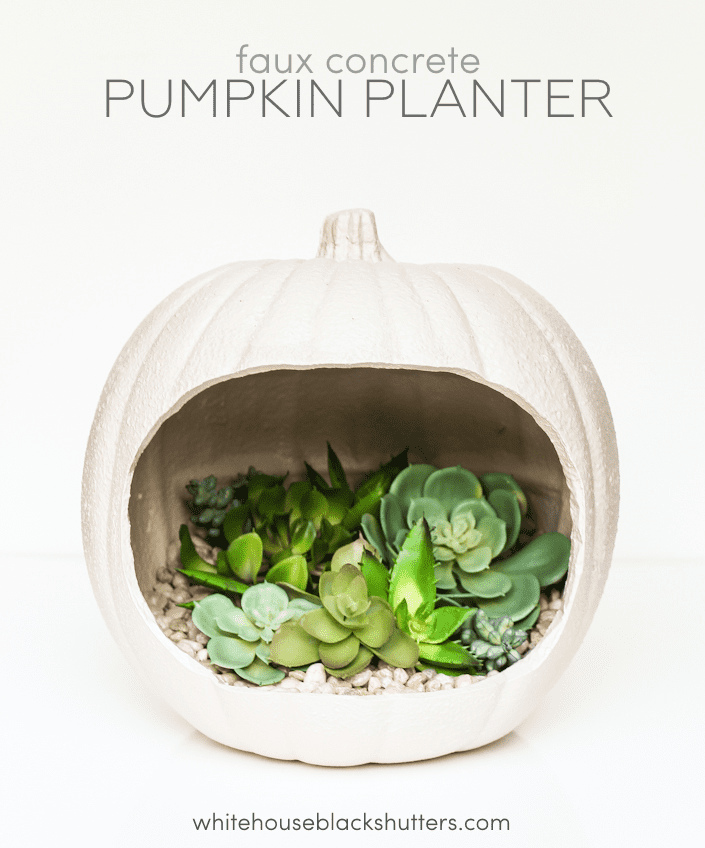 faux concrete pumpkin planter, made from a craft pumpkin!