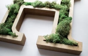 This is beautiful!! Wooden letter art with real moss added for texture. Easy and inexpensive project.